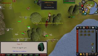 Golden Pheasant Egg : r/2007scape .